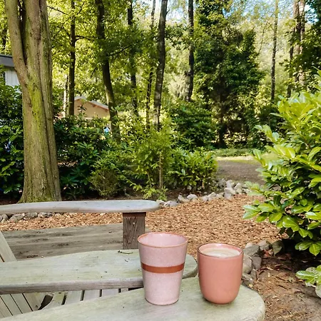 Sfeervol Tiny House In Het Bos *