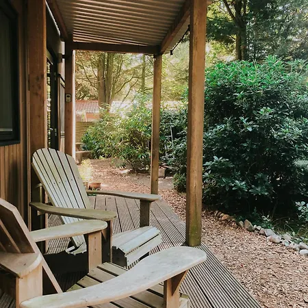 Sfeervol Tiny House In Het Bos Diessen