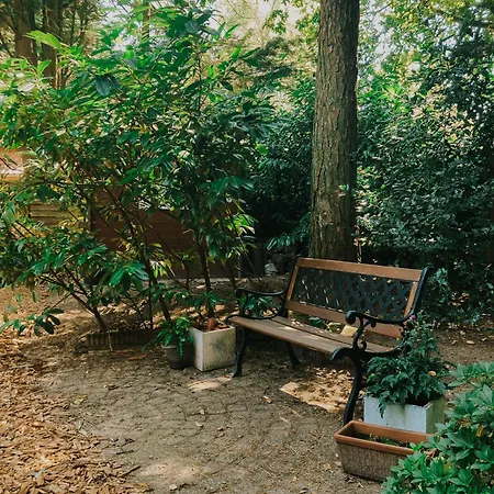 Sfeervol Tiny House In Het Bos Σπίτι διακοπών Diessen