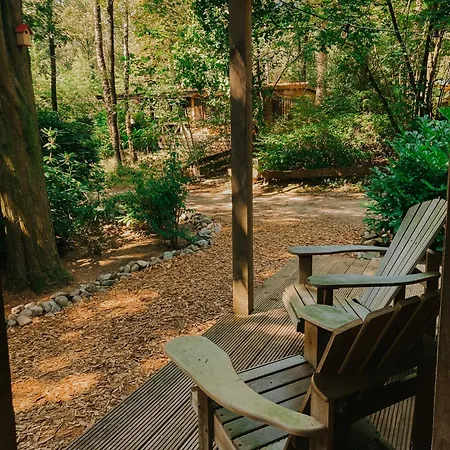 Sfeervol Tiny House In Het Bos Diessen