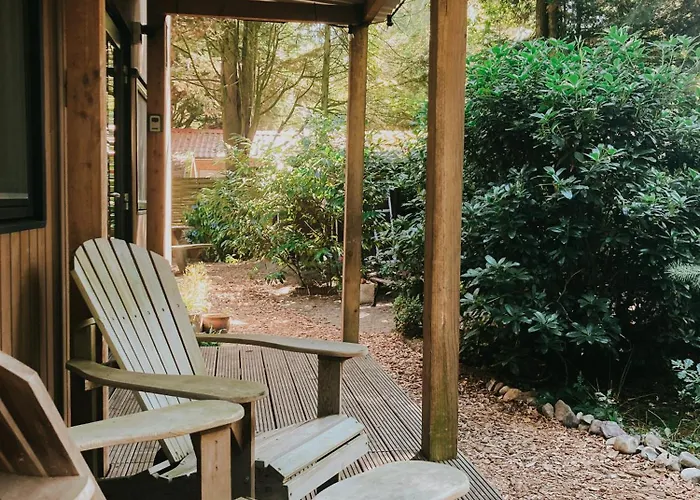 Sfeervol Tiny House In Het Bos Diessen