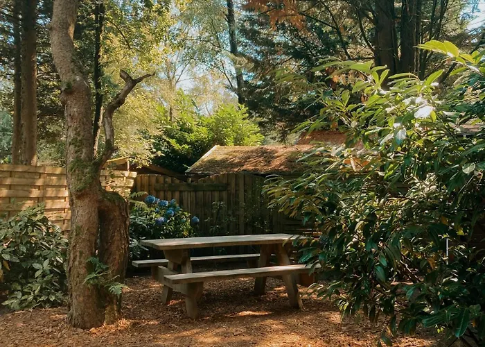 Sfeervol Tiny House In Het Bos Σπίτι διακοπών