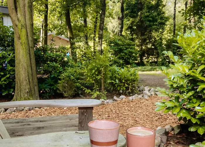 Sfeervol Tiny House In Het Bos *