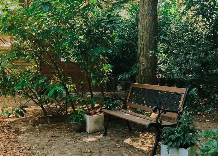 Sfeervol Tiny House In Het Bos Holiday home Diessen