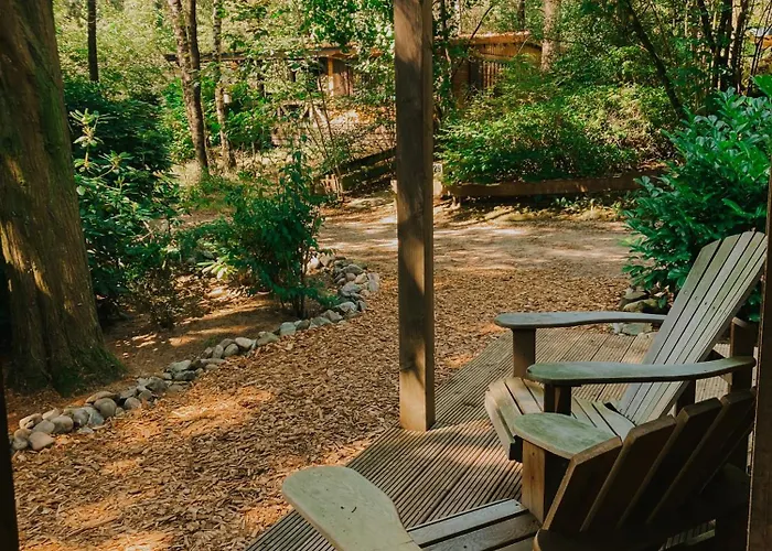 Sfeervol Tiny House In Het Bos Diessen